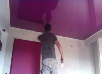 glossy reflective suspended ceiling State of Kentucky
